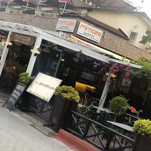 Mimoza ***** Ölüdeniz